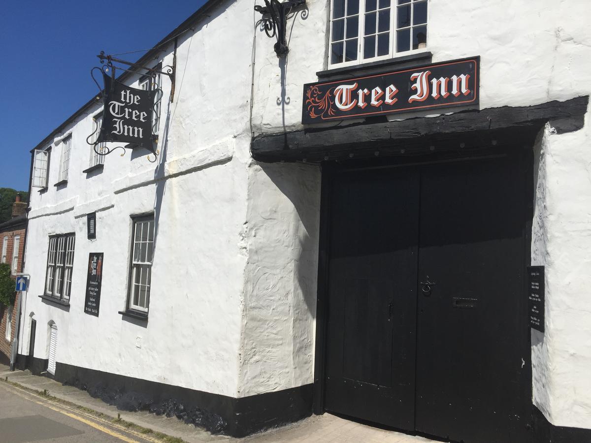 The Tree Inn Bude Eksteriør billede