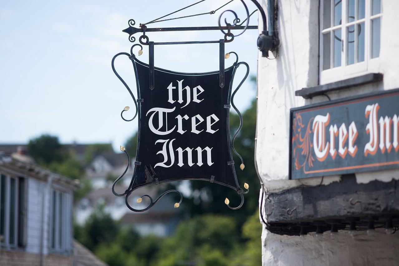 The Tree Inn Bude Eksteriør billede