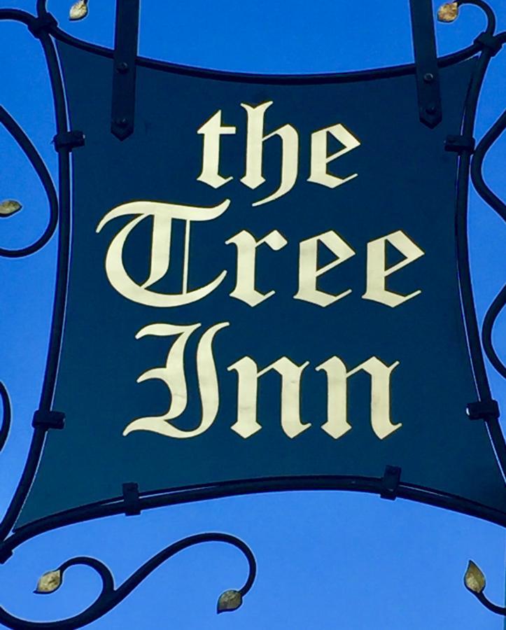 The Tree Inn Bude Eksteriør billede